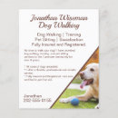 Search for promote dog walking flyers Pet care