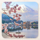 Search for cherry blossoms coasters Flower