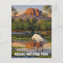 Search for wildlife postcards Souvenir