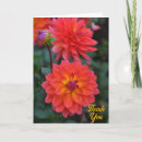 Search for perennials cards Yellow