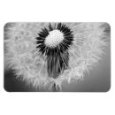 Search for 4x6 postcards Black