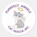 Search for purrfect stickers Kitty