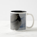 Search for endeavour mugs Orbiter