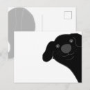 Search for newfoundland dog postcards Newfie