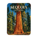Search for sherman magnets California