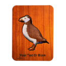 Search for carving magnets Nature
