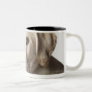 Search for labrador retriever puppy mugs Cute