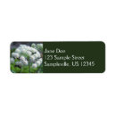 Search for white flower return address labels Wildflower