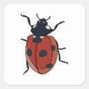 Search for beetle stickers Ladybug