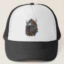 Search for bison hats Wildlife