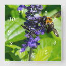Search for salvia art Flowers