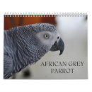 Search for parrot calendars African grey parrot