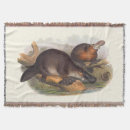 Search for duck blankets Platypus