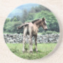 Search for colts barware Cute