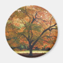 Search for fall tree magnets Foliage