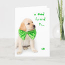 Search for friendship st patricks cards Lucky