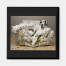 Search for chew magnets Dog