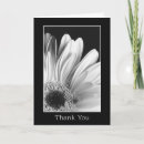 Search for gerber daisies cards Flora