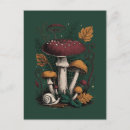 Search for fly agaric postcards Snail