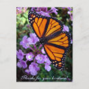 Search for lantana postcards Monarch