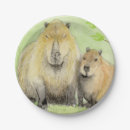 Search for capybara plates Wildlife