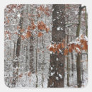 Search for oak trees stickers Nature
