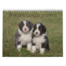 Search for border collie calendars Dog