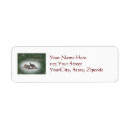 Search for turkey return address labels Wildlife