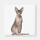 Search for months magnets Cat photography