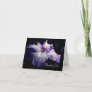 Search for iris flower cards Irises