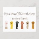 Search for fun cat postcards Pet