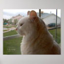 Search for cute rain posters Cats