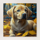 Search for yellow lab puzzles Cute