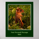 Search for animal quotes posters Inspirational