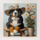 Search for bernese mountain dog puzzles Puppy