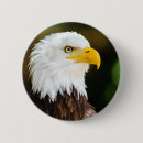 Search for american bald badges Patriotic