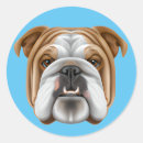 Search for bulldog stickers Canine