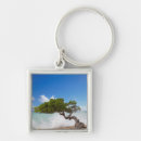 Search for aruba key rings Island