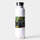 Search for banana water bottles Humour