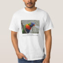 Search for lorikeets tshirts Parrot