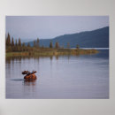 Search for moose posters Tree