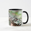 Search for moss mugs California