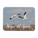 Search for geese magnets Animal