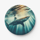 Search for shark plates Sea