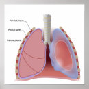 Search for cavities posters Health