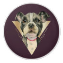 Search for dog lover knobs and pulls Animal