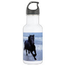 Search for wild water bottles Equine