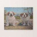 Search for st bernard puzzles Saint