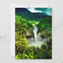 Search for amazon cards Rainforest