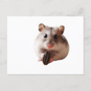 Search for seed postcards Animal